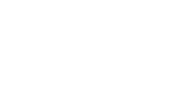 Dynamic Studios Logo